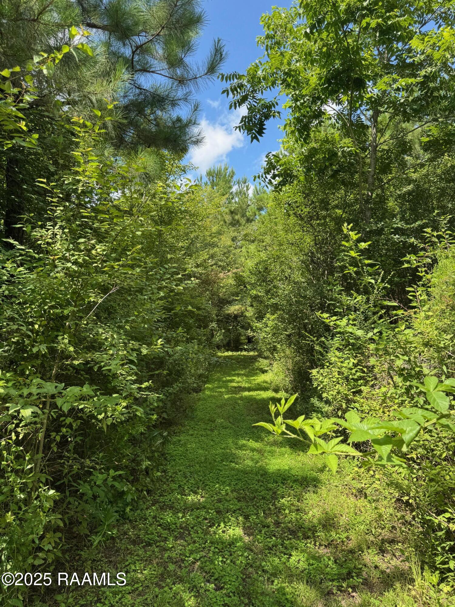 Tbd Frozard Road, Unit 5 Arnaudville, LA 70512 - Photo 3 of 14 IMG_0699