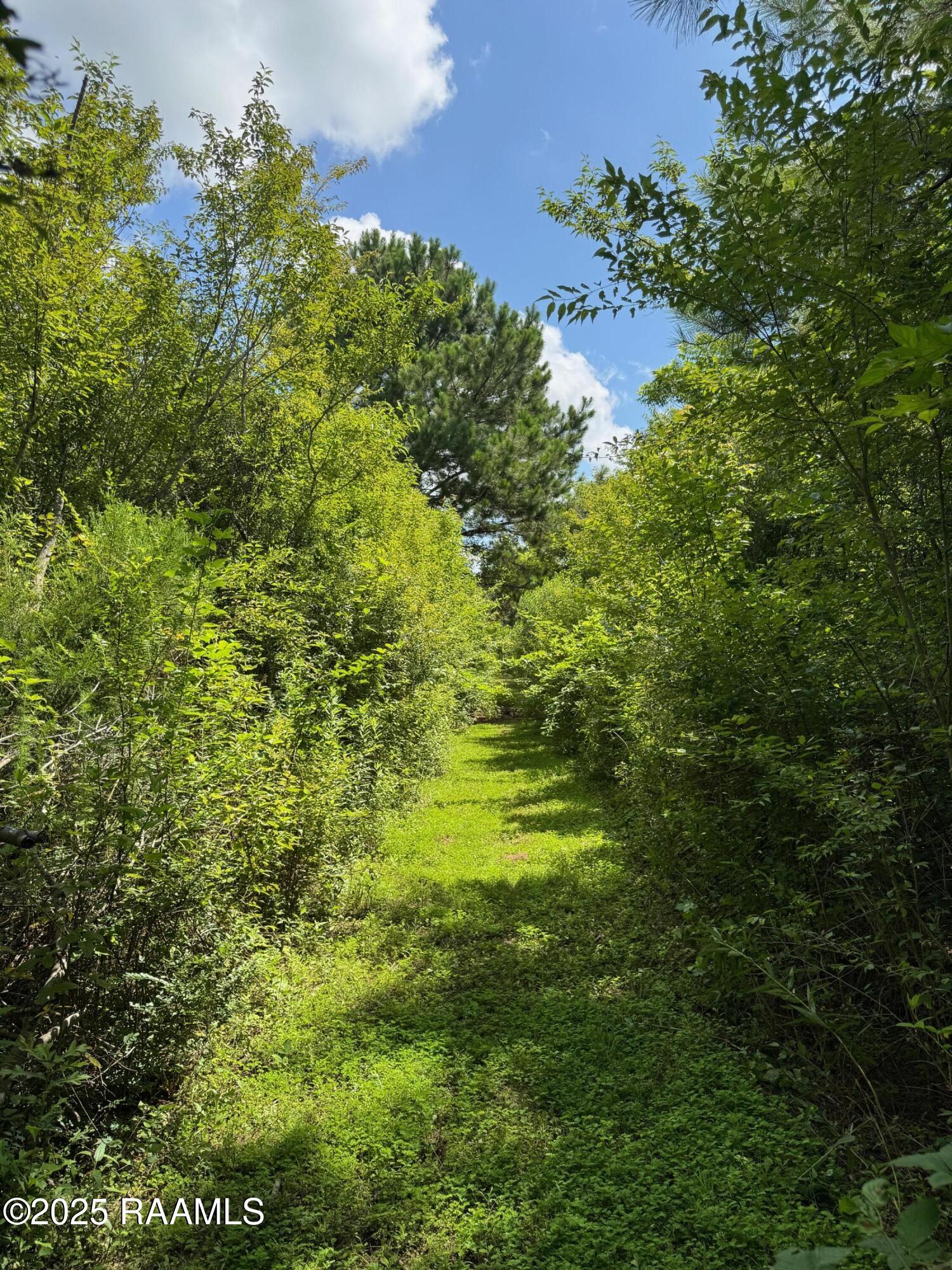 Tbd Frozard Road, Unit 5 Arnaudville, LA 70512 - Photo 4 of 14 IMG_0700
