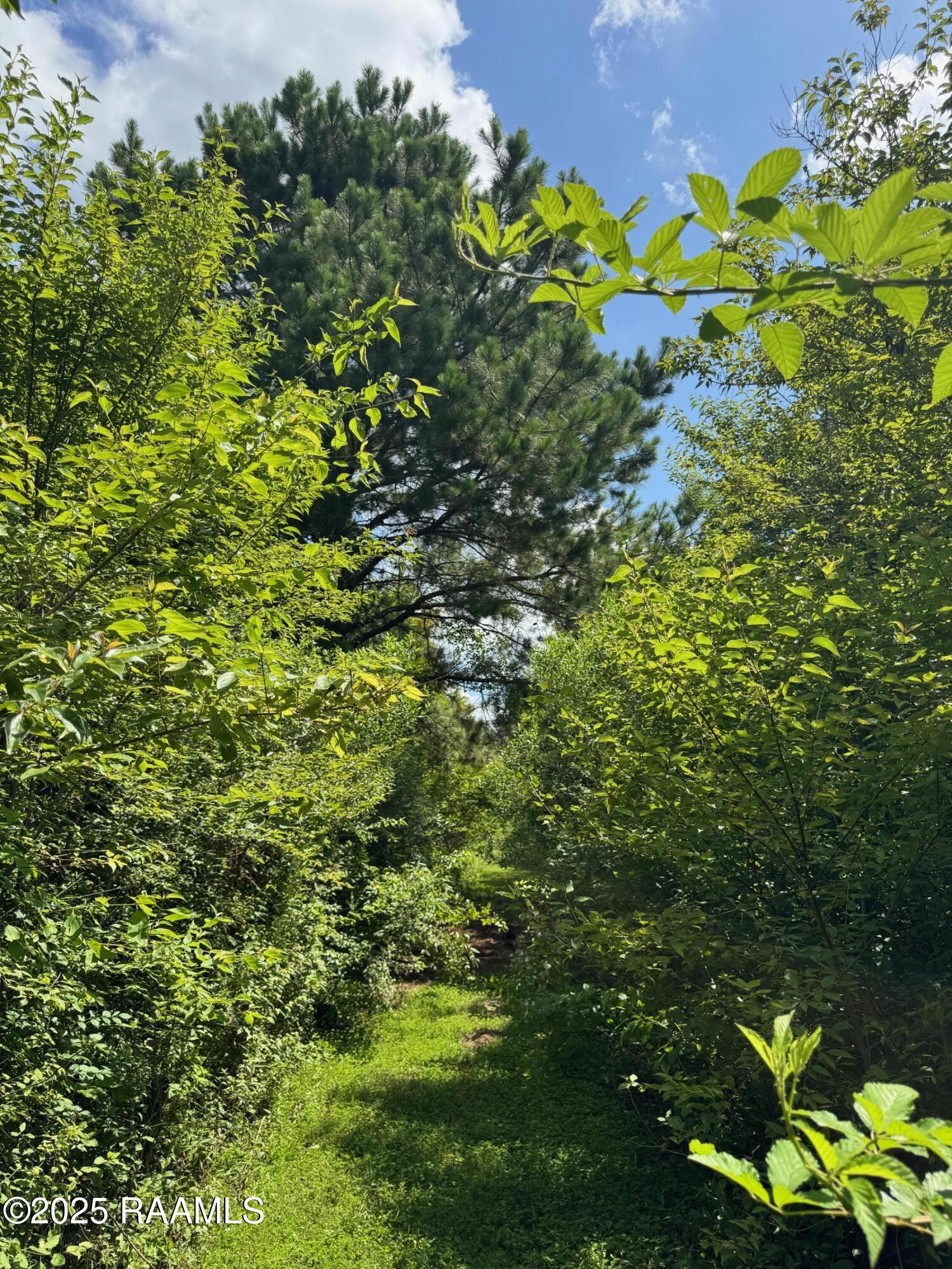 Tbd Frozard Road, Unit 5 Arnaudville, LA 70512 - Photo 6 of 14 IMG_0698
