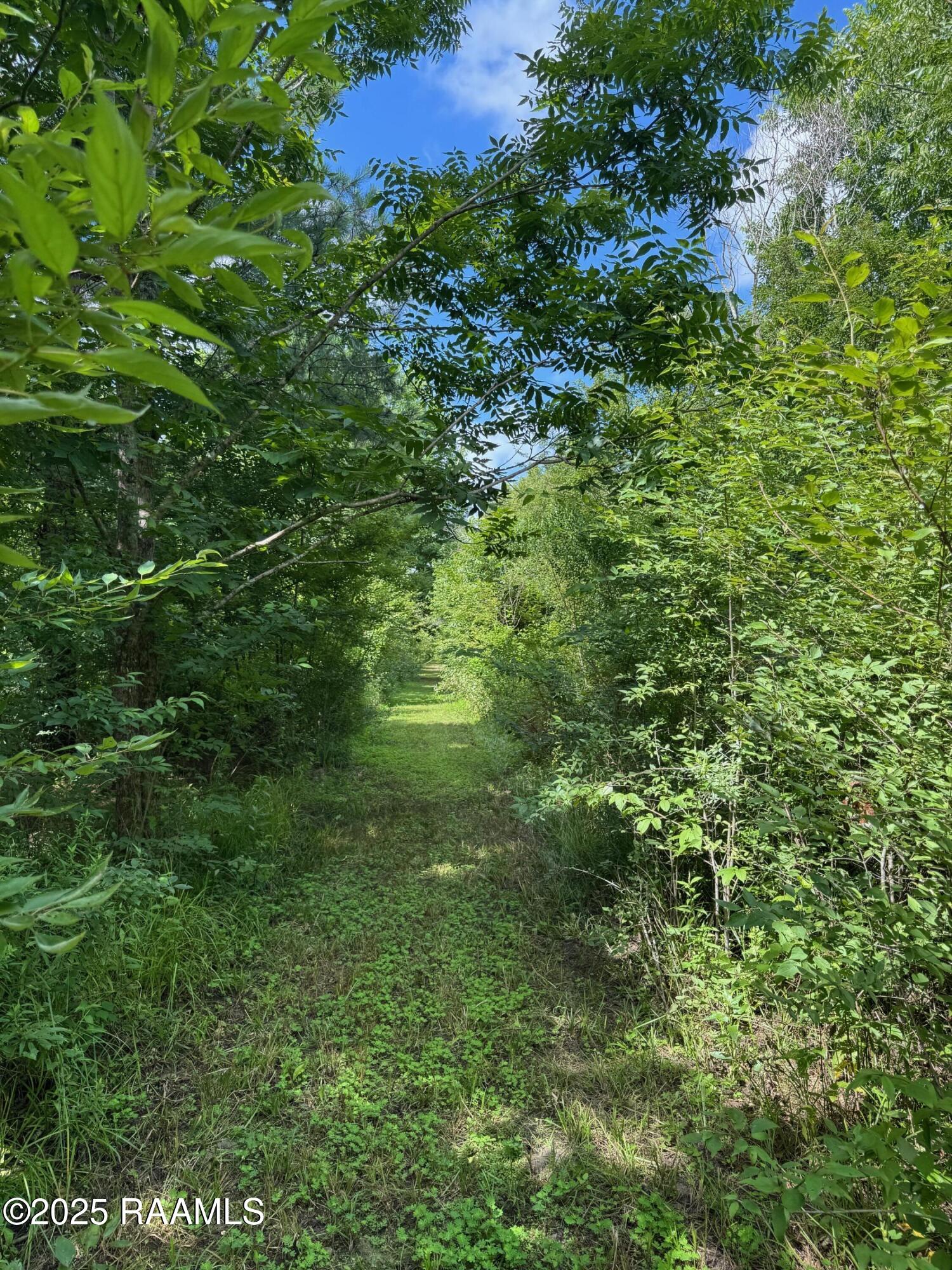 Tbd Frozard Road, Unit 5 Arnaudville, LA 70512 - Photo 8 of 14 IMG_0685