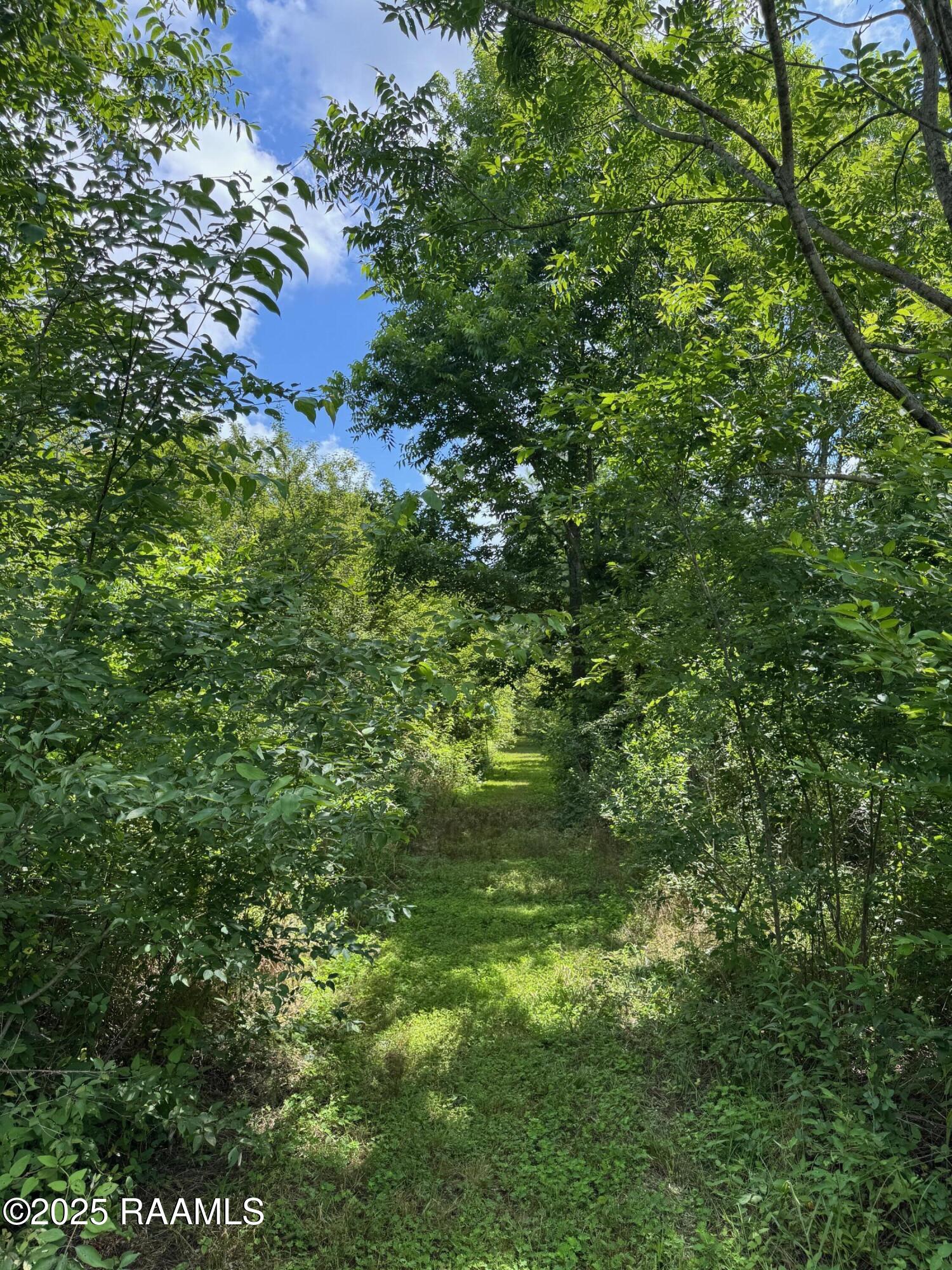 Tbd Frozard Road, Unit 5 Arnaudville, LA 70512 - Photo 9 of 14 IMG_0692