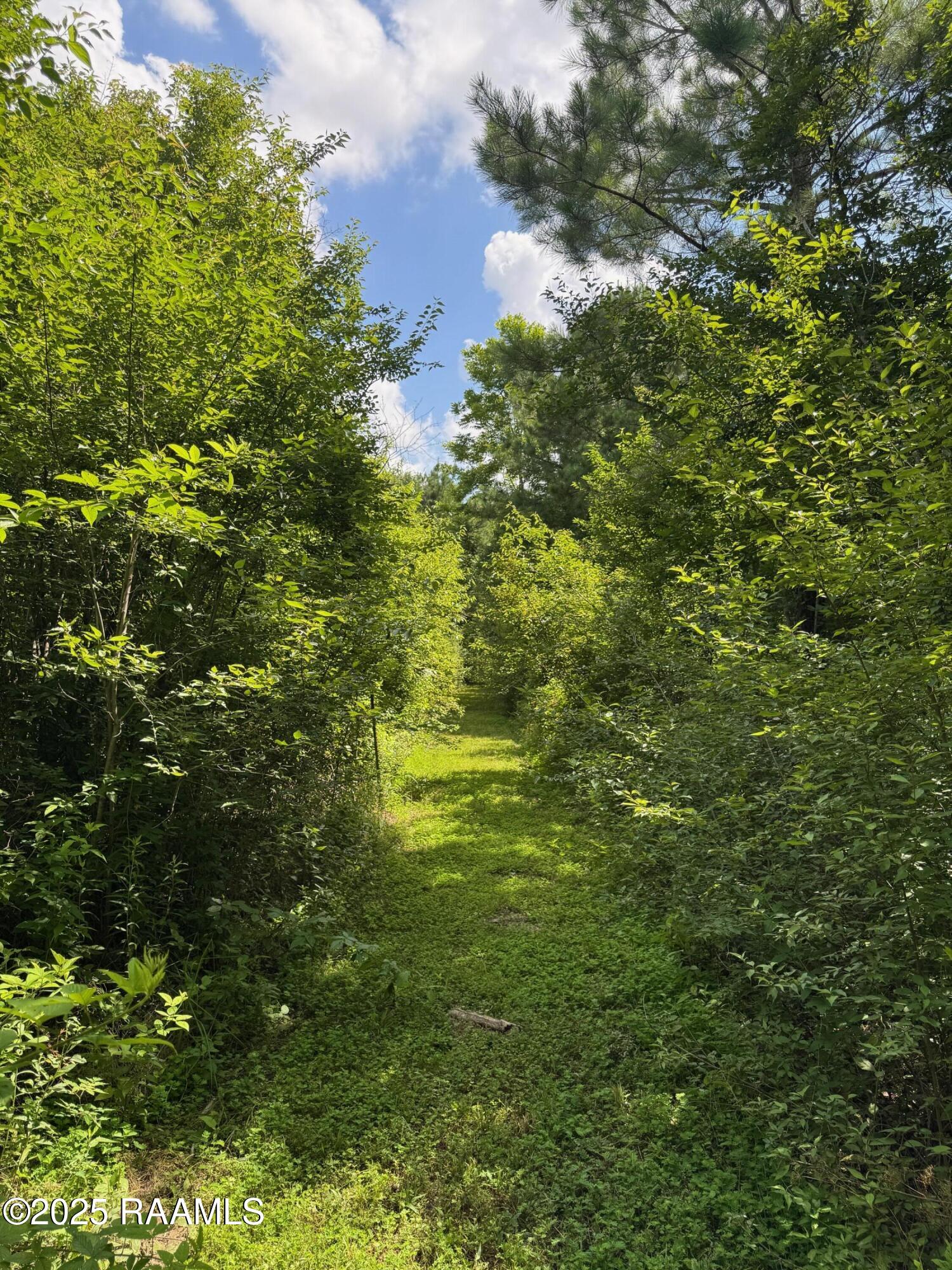 Tbd Frozard Road, Unit 5 Arnaudville, LA 70512 - Photo 10 of 14 IMG_0689