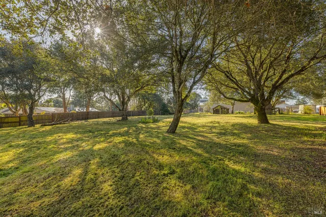 a view of yard with trees