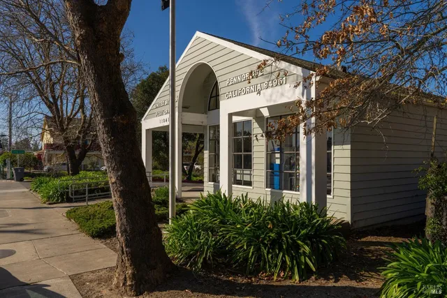 a view of a house with potted plants and a large tree