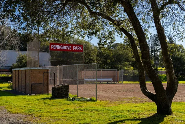 a view of a park with large trees