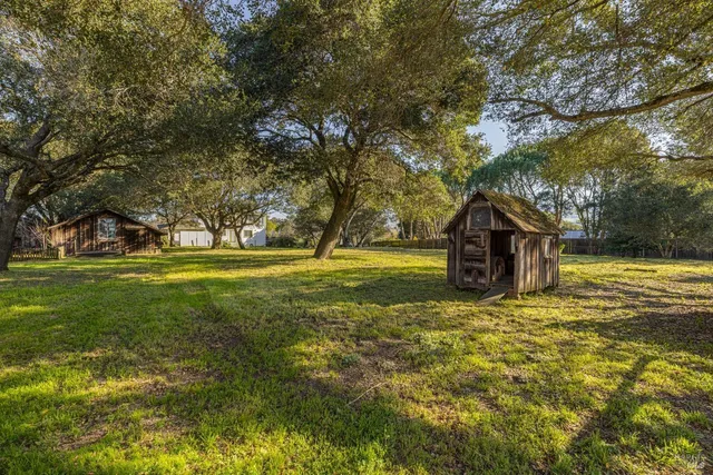 a view of a trees with a house in the background