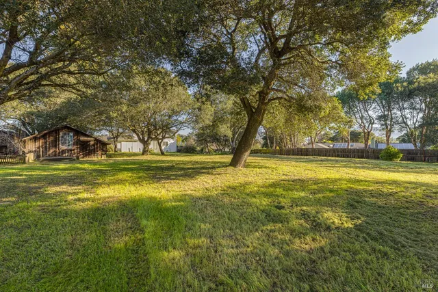a view of swimming pool with trees