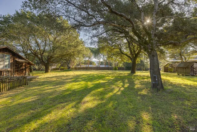 a view of yard with swimming pool and trees