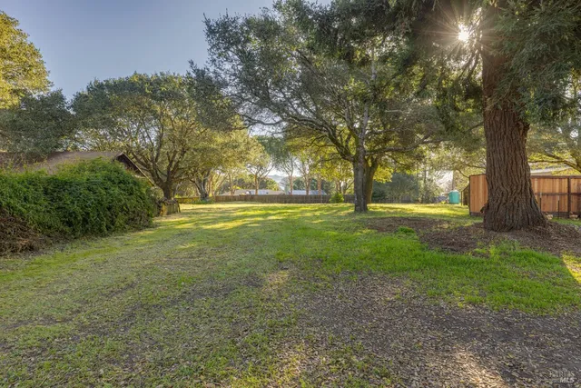 a view of yard with trees