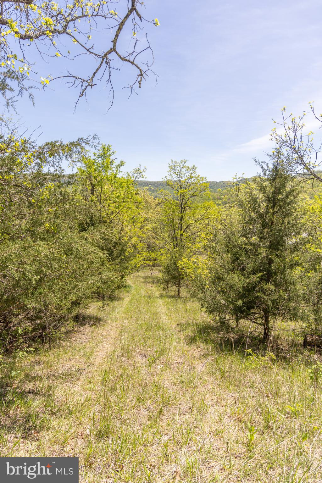 Wayside Creamery Road Wayside, WV 24985 - Photo 21 of 25 Gallery Image 21