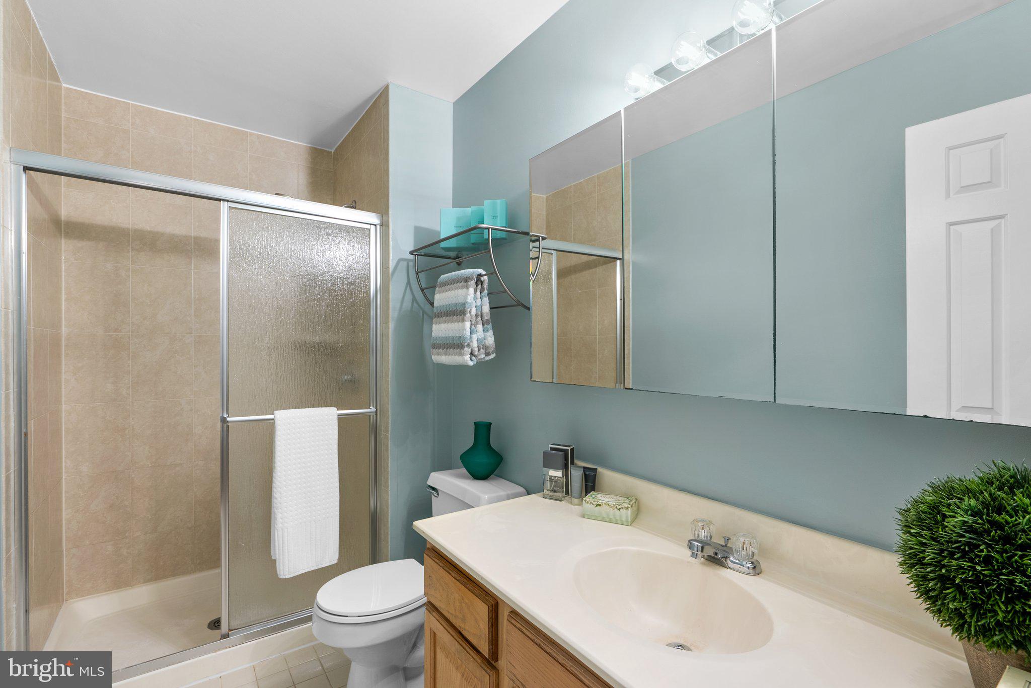 2607 Chivalry Court Silver Spring, MD 20902 - Photo 14 of 38 Owner's bathroom