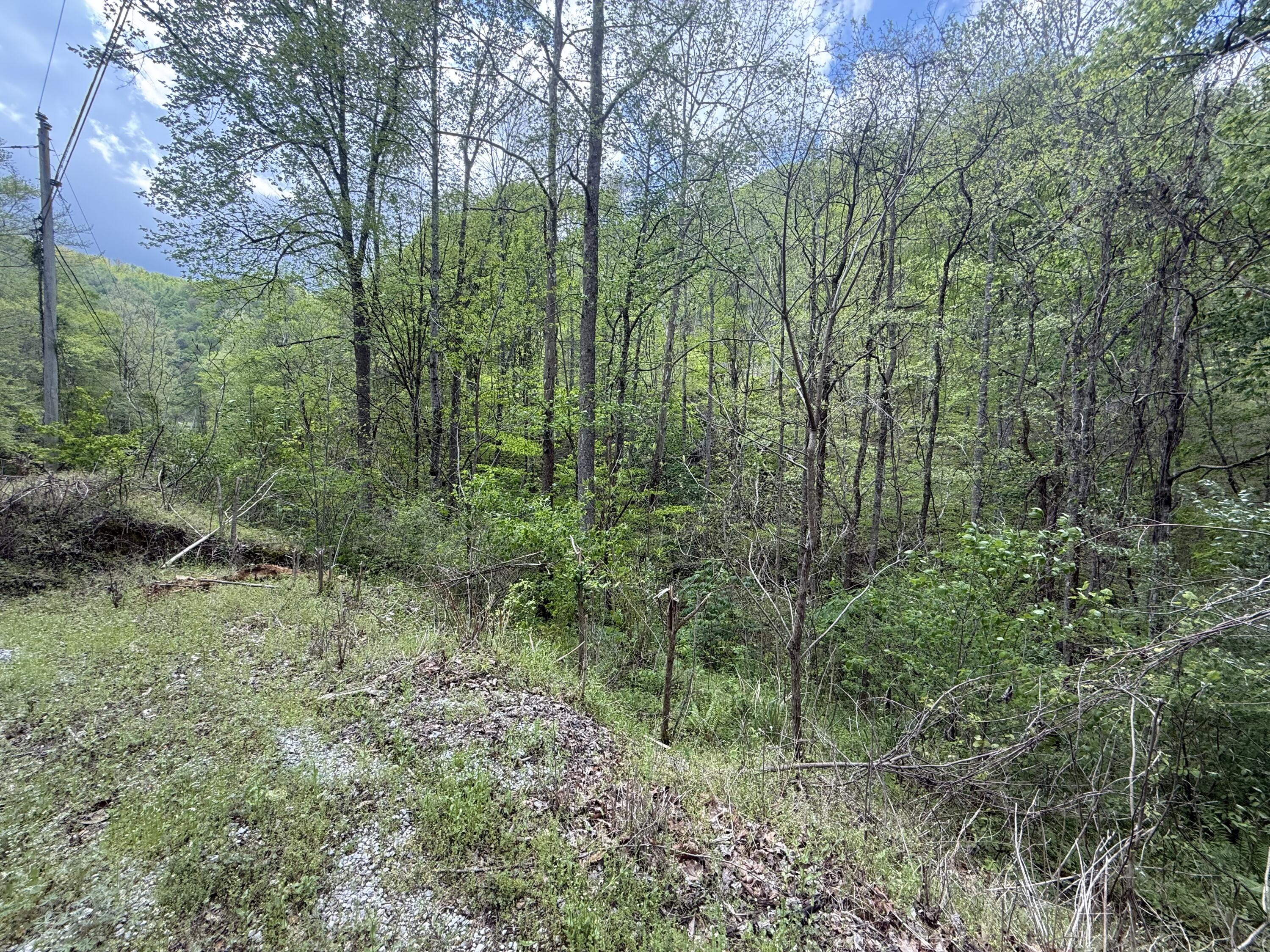 460 Bailey Branch Road Walker, KY 40997 - Photo 4 of 6 IMG_2958
