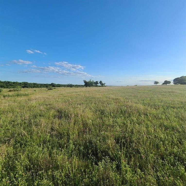 Tbd Tbd Crest View Trail Hillsboro, TX 76645 - Photo 2 of 7 View of local wilderness featuring rural landscape