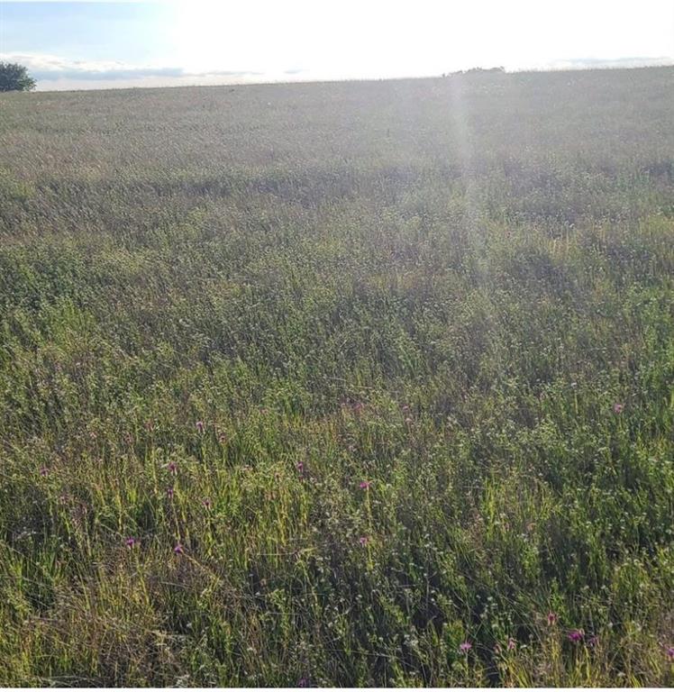 Tbd Tbd Crest View Trail Hillsboro, TX 76645 - Photo 3 of 7 Drone / aerial view