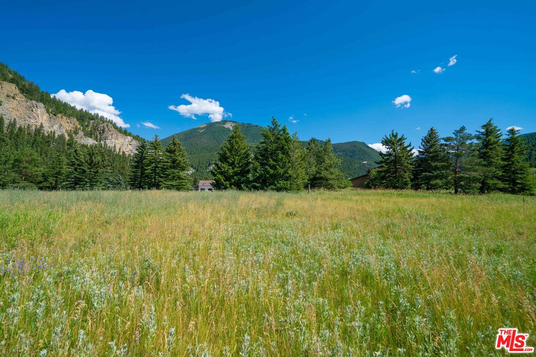 64050 Gallatin Road Gallatin Gateway, MT 59730 - Photo 48 of 55 a view of a fountain in a yard with large trees