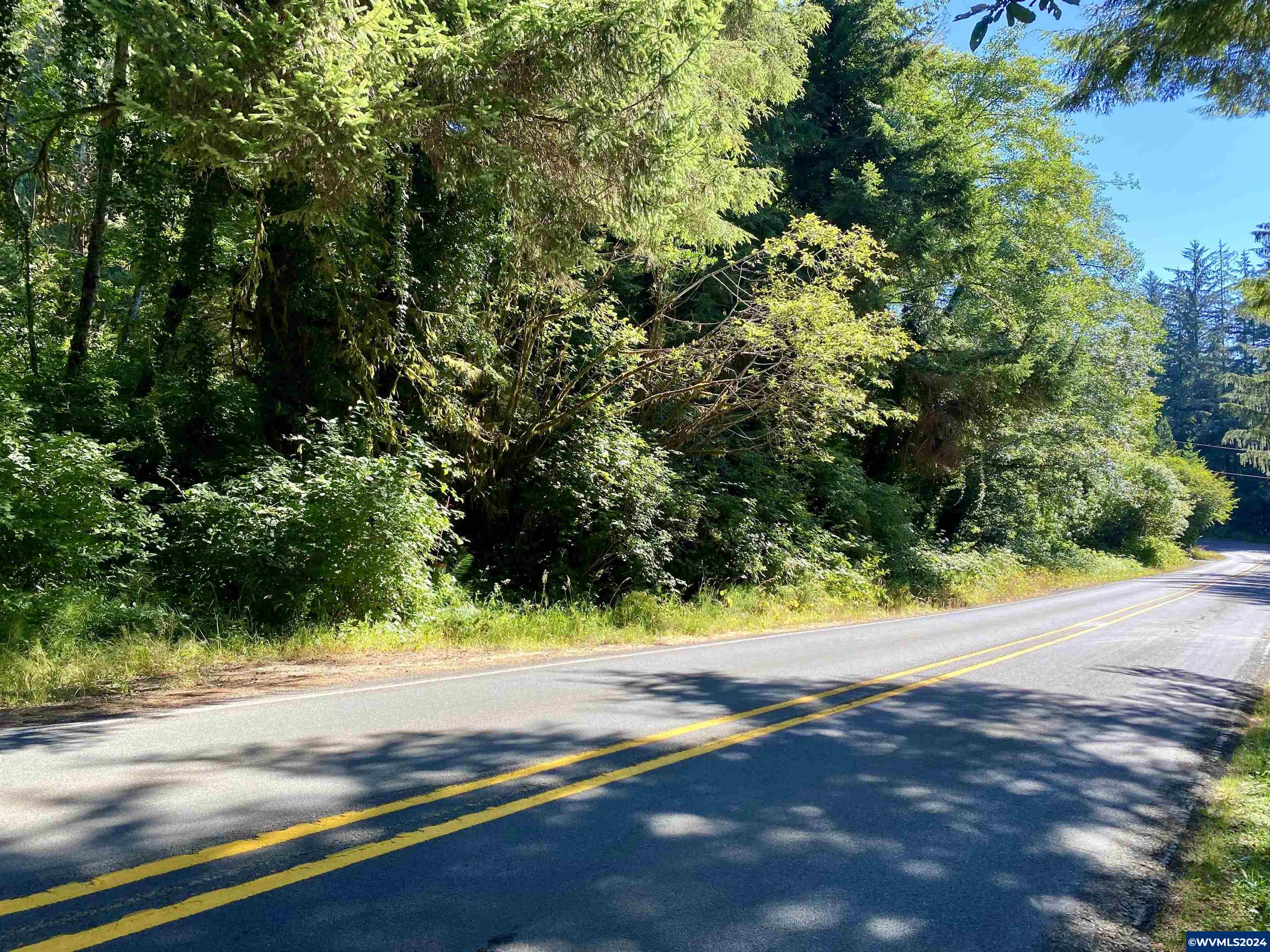 3757 Yachats River Road Yachats, OR 97498 - Photo 4 of 5