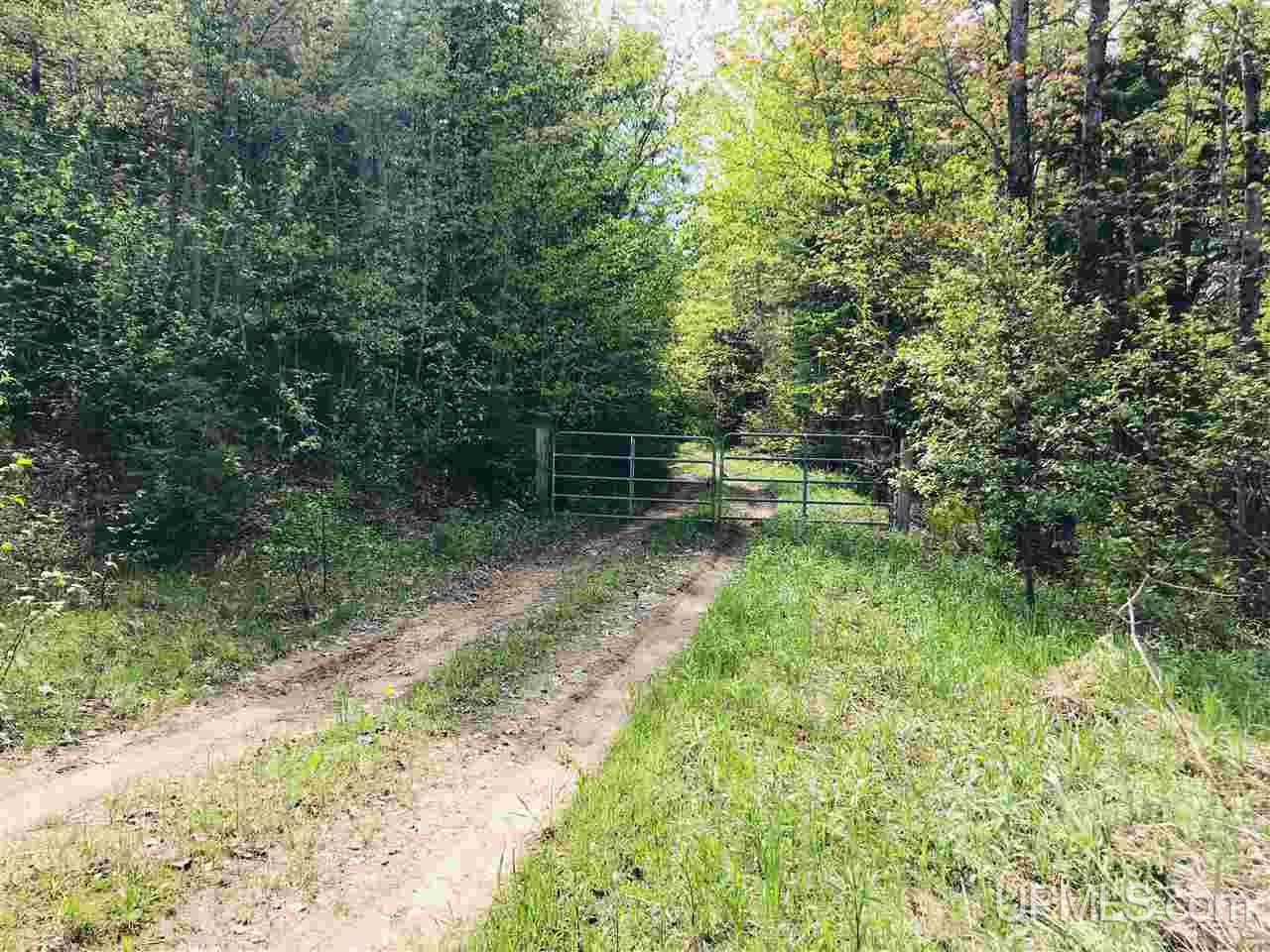 Tbd Co Rd 533 Road Rock, MI 49880 - Photo 1 of 13