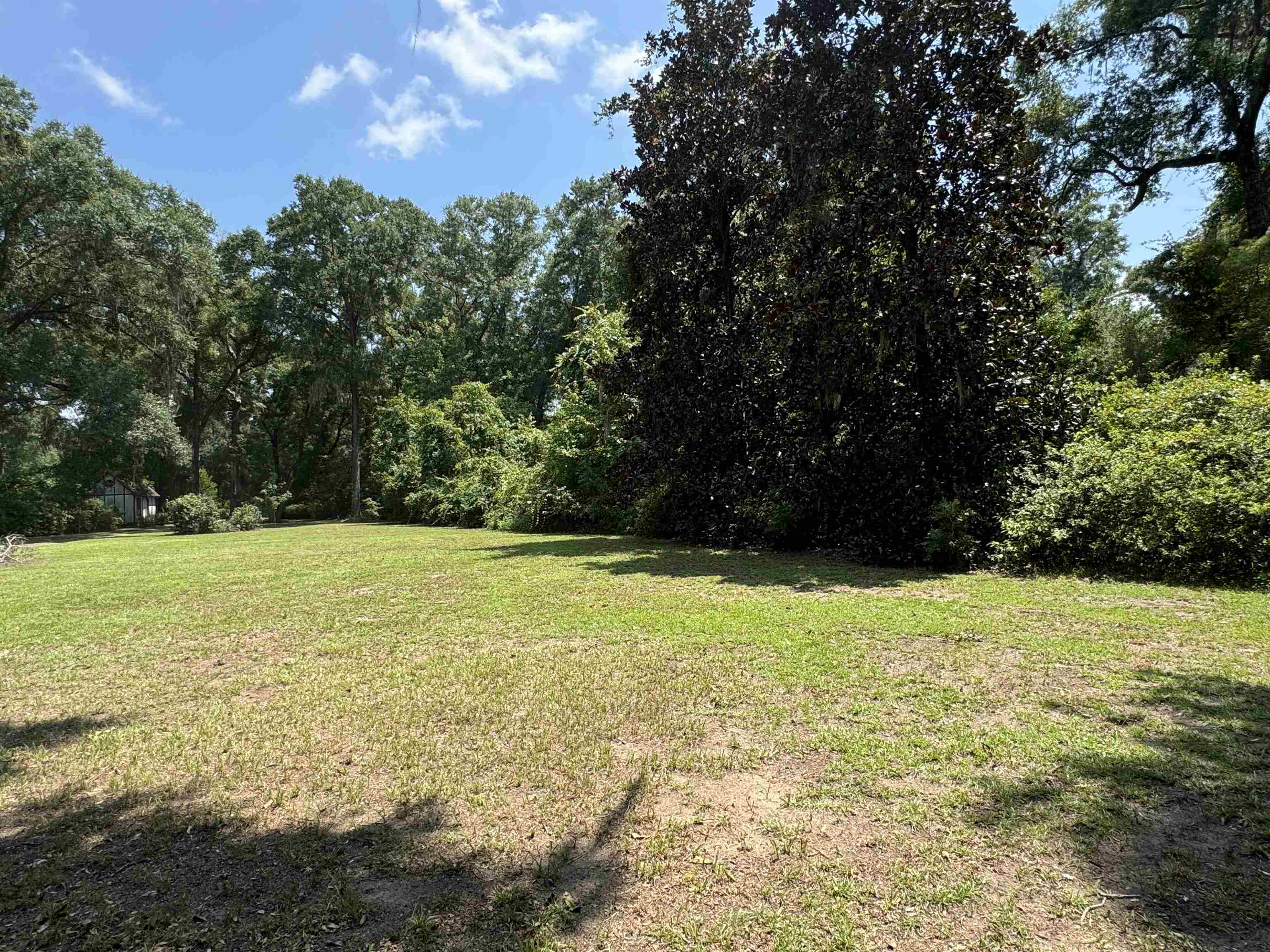 Parramore Shores Road Tallahassee, FL 32310 - Photo 16 of 31