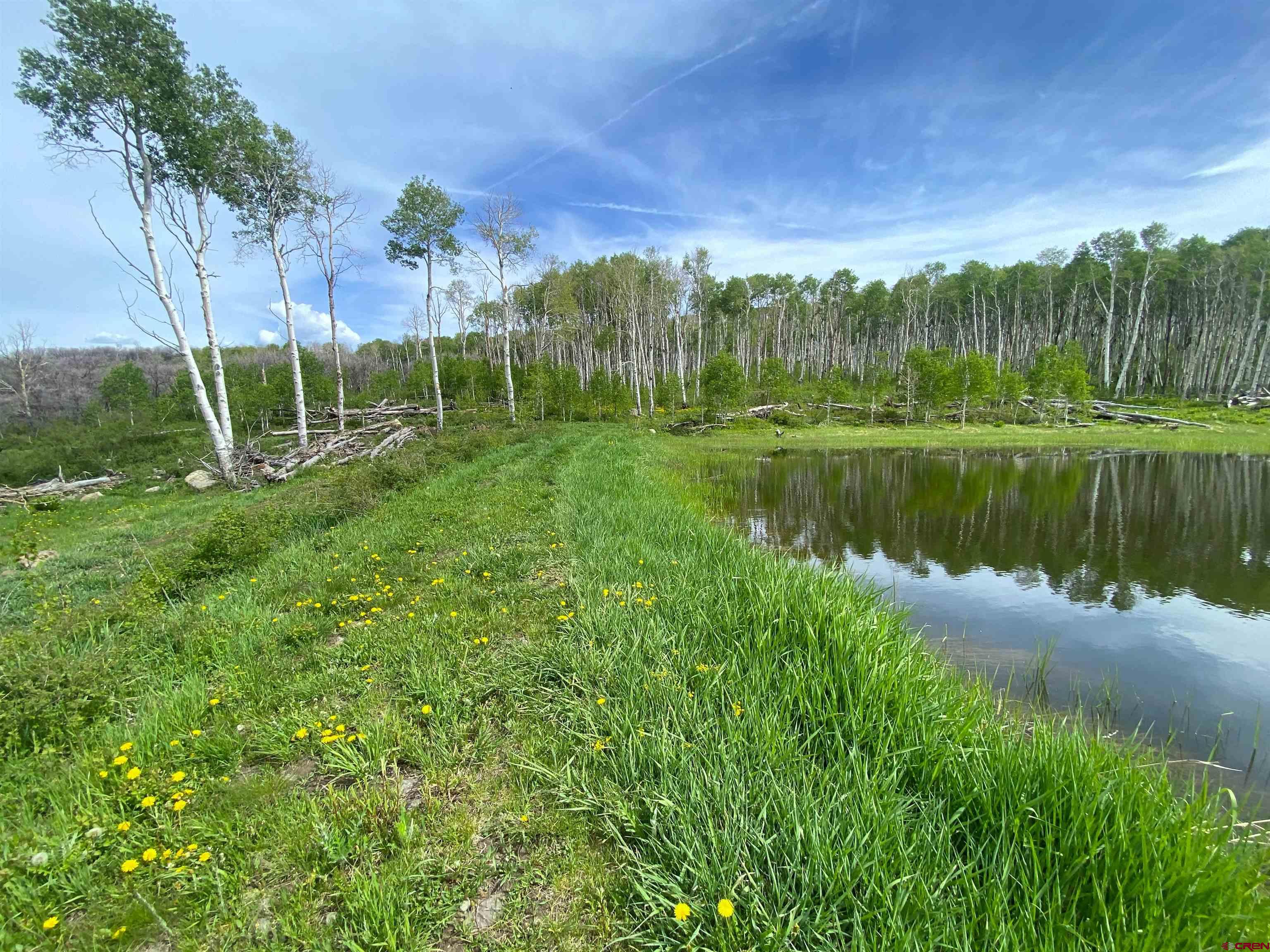 19514 Johnson Road Hotchkiss, CO 81419 - Photo 19 of 27 a view of a lake with a big yard