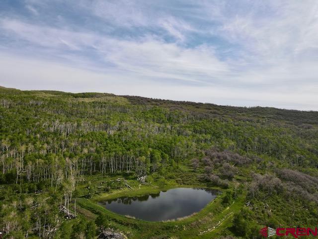 19514 Johnson Road Hotchkiss, CO 81419 - Photo 24 of 27