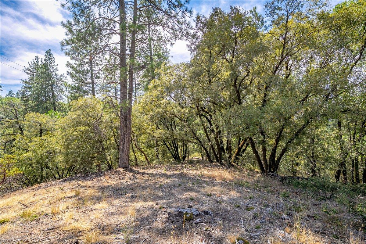 22600 Plumtree Road Colfax, CA 95713 - Photo 11 of 37