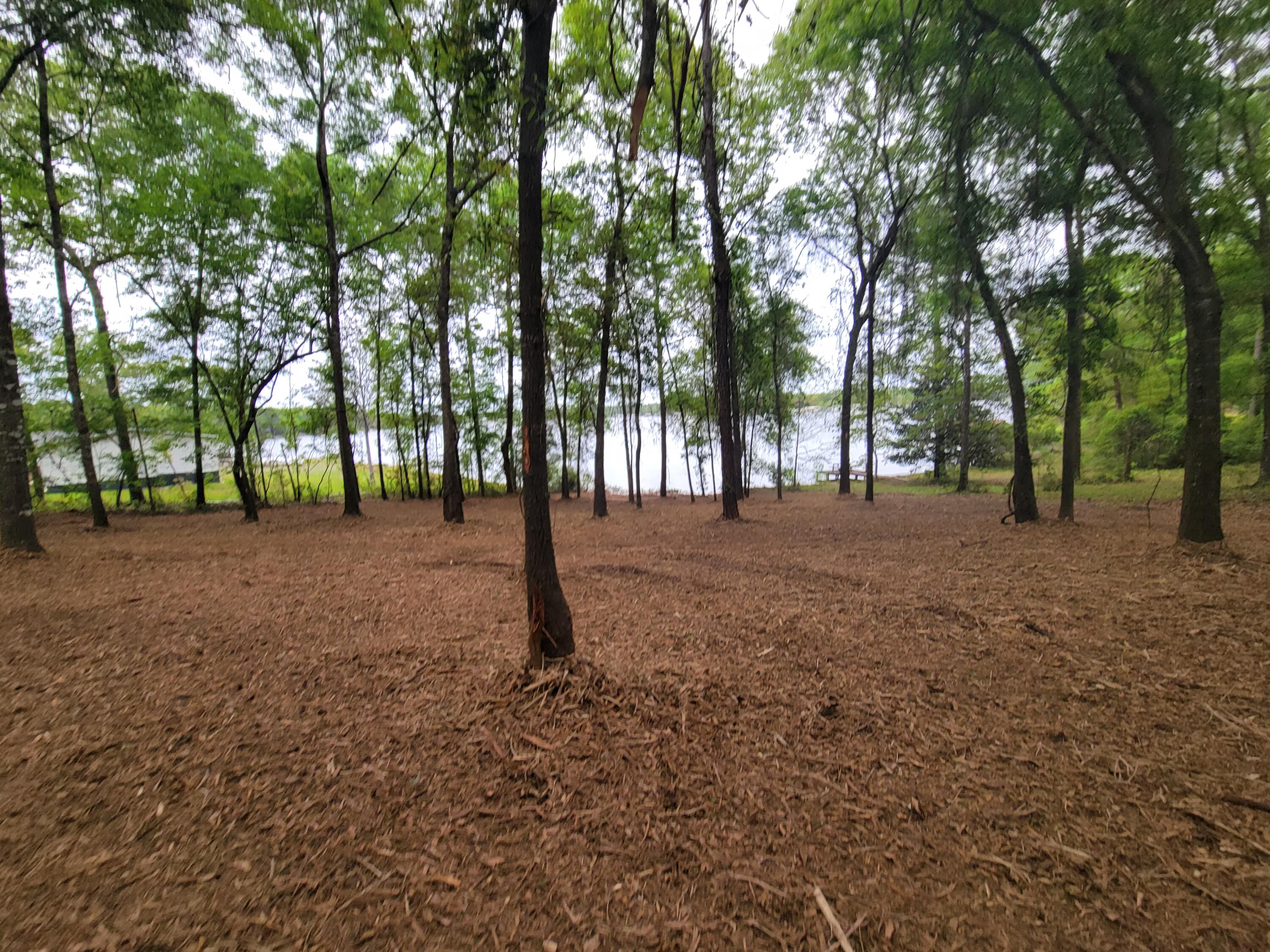 Lot 27 Pipers Landing Road DeFuniak Springs, FL 32433 - Photo 5 of 15 Ready for a dream home