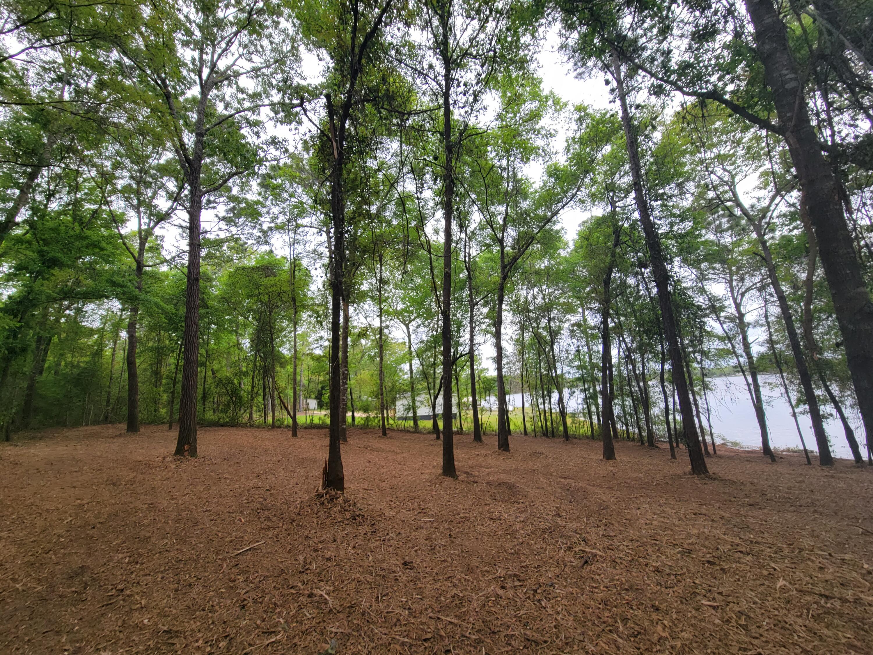 Lot 27 Pipers Landing Road DeFuniak Springs, FL 32433 - Photo 6 of 15 Mobile Homes allowed