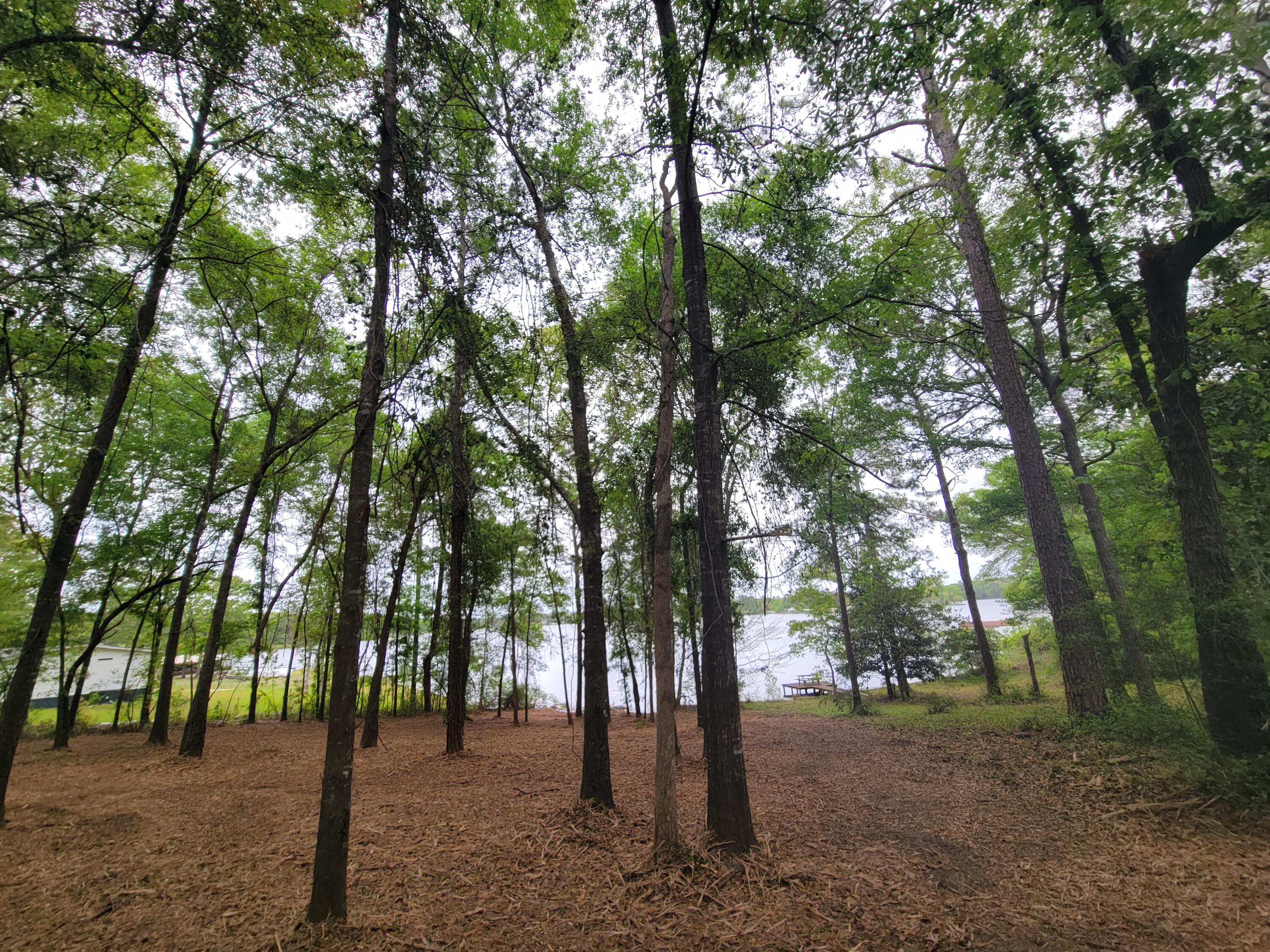 Lot 27 Pipers Landing Road DeFuniak Springs, FL 32433 - Photo 9 of 15 20220413_123643