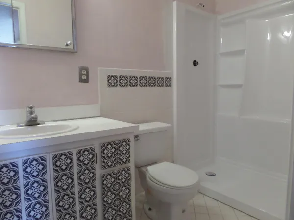 a bathroom with a shower and a toilet