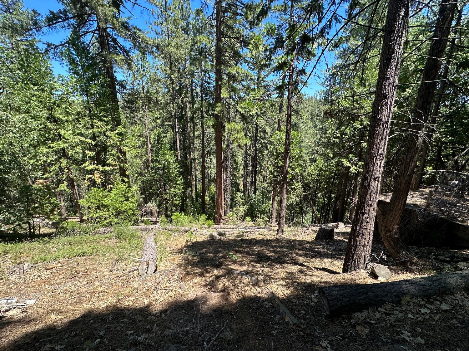 487 Canyon View Drive Murphys, CA 95247 - Photo 1 of 8 a view of outdoor space with trees