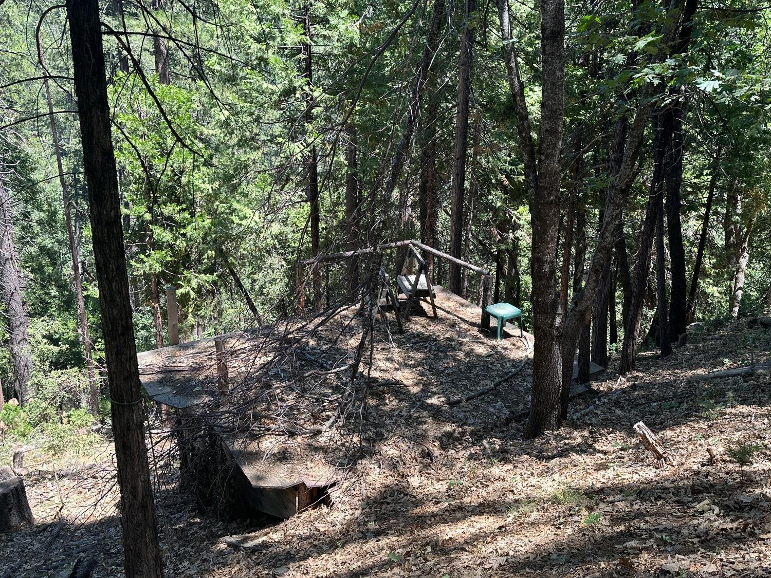 487 Canyon View Drive Murphys, CA 95247 - Photo 6 of 8 a view of outdoor space with lots of trees