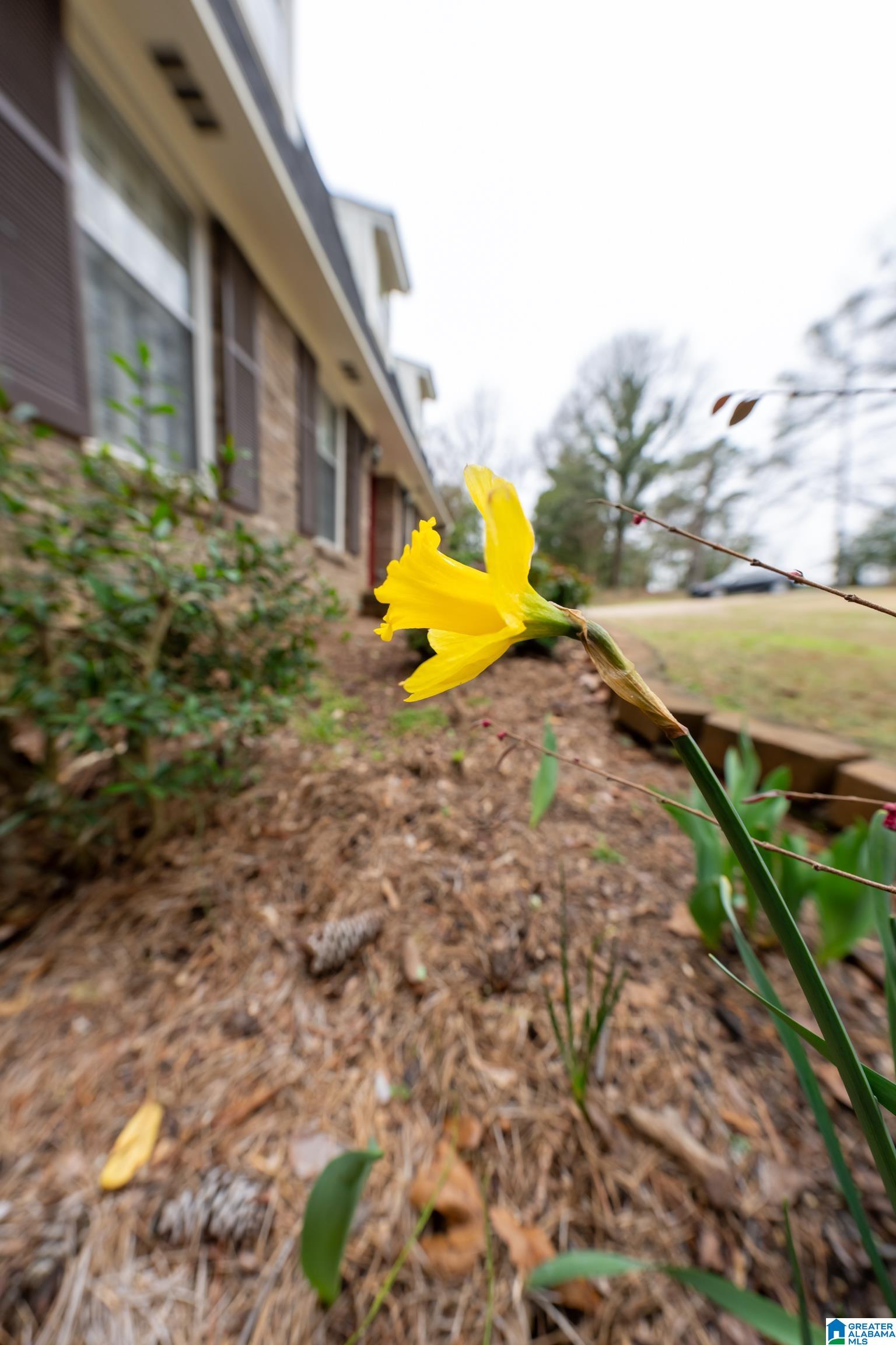 36 Diana Hills Road Anniston, AL 36207 - Photo 68 of 79