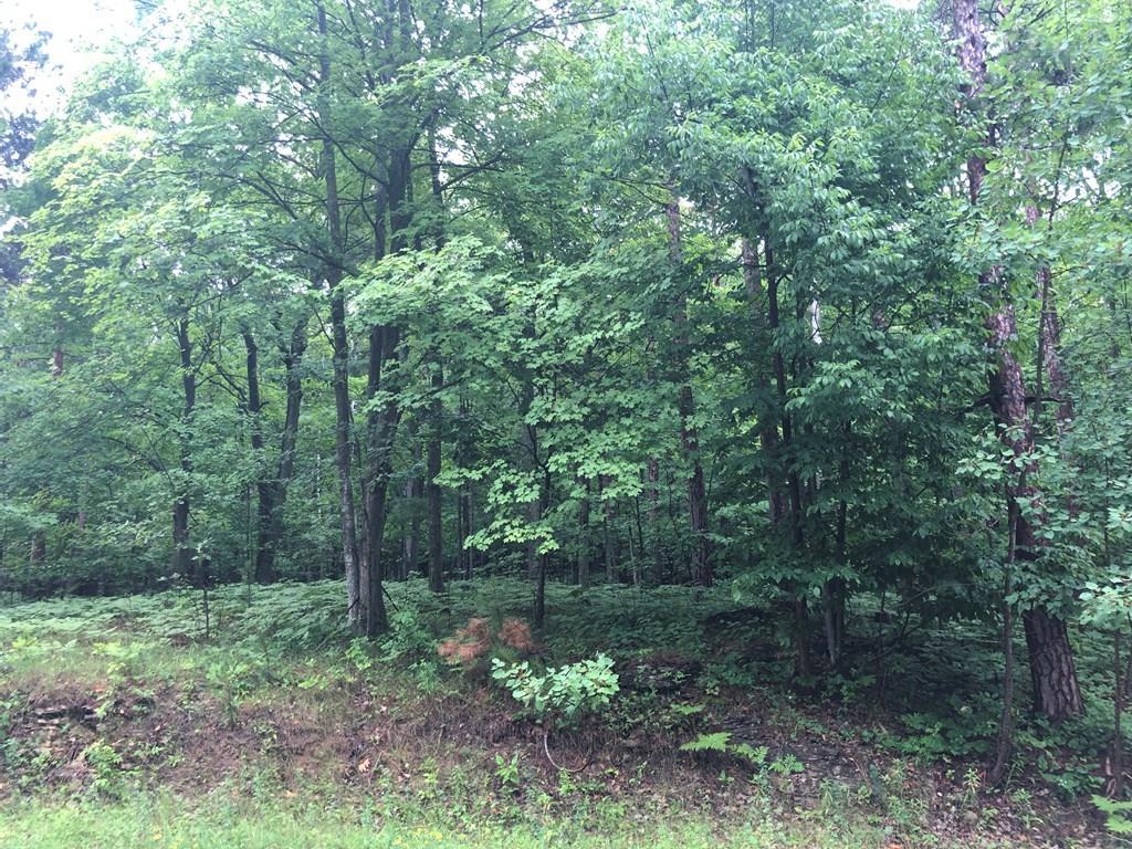 F1-d2 Timber Ridge Road Sturgeon Bay, WI 54235 - Photo 21 of 22