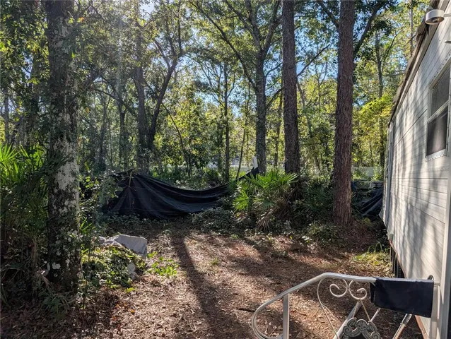 a garden view with a seating space
