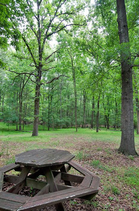 9706 Rougemont Road Bahama, NC 27503 - Photo 10 of 21 Photo 10