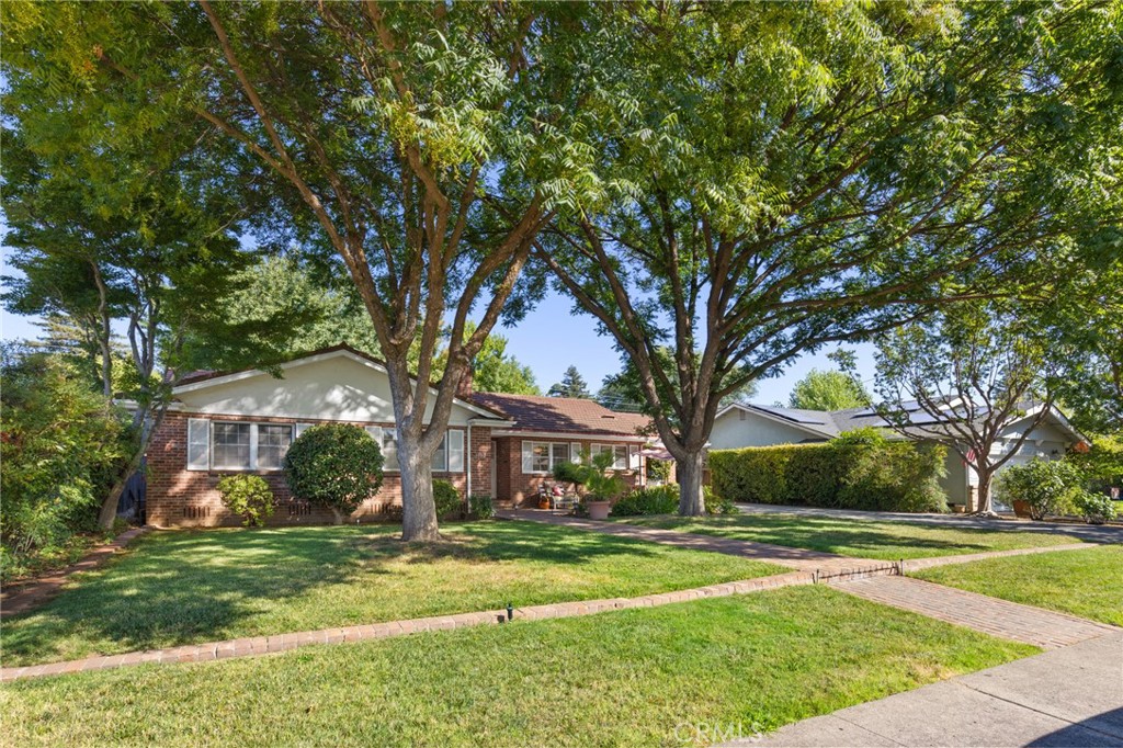 1192 Manchester Road Chico, CA 95926 - Photo 22 of 35 Mature Trees offering shade for those hot days in Chico