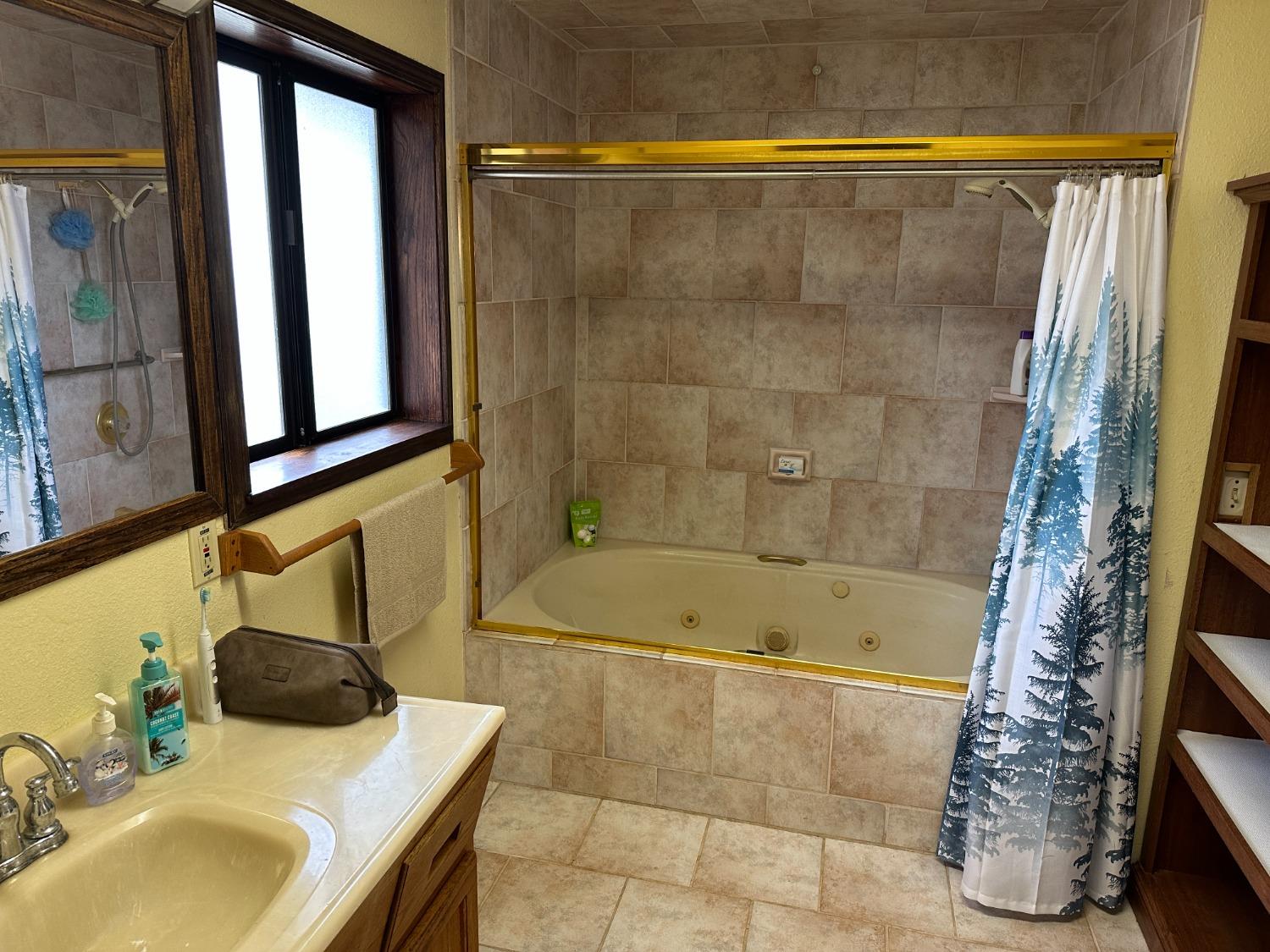 4368 Eazy Bird Road Wilseyville, CA 95257 - Photo 19 of 25 a bathroom with a sink and a shower
