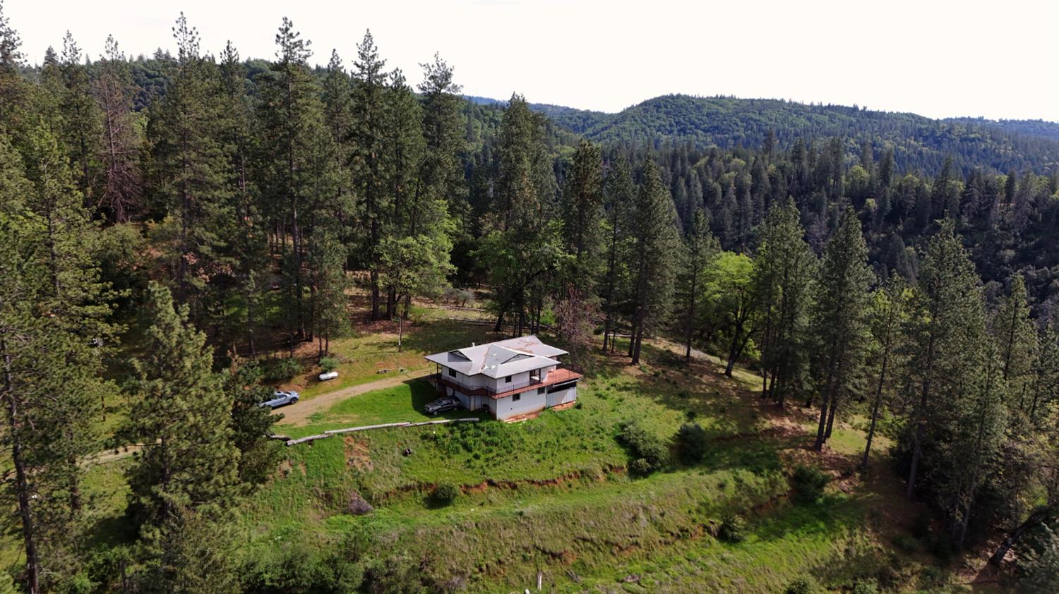 4368 Eazy Bird Road Wilseyville, CA 95257 - Photo 25 of 25 a view of a forest with a tree