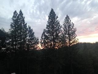 4368 Eazy Bird Road Wilseyville, CA 95257 - Photo 9 of 25 a view of trees in between of the house