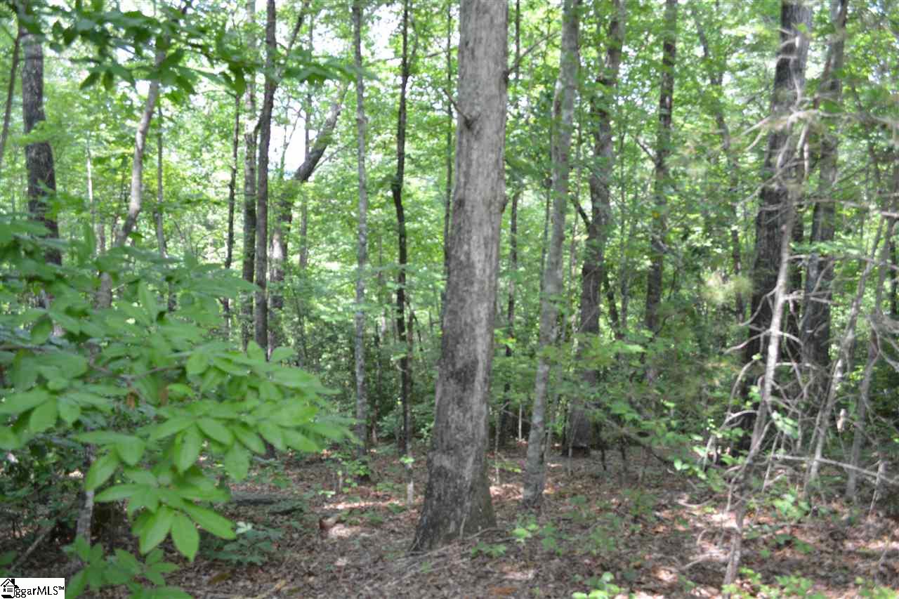 2 Table Rock Road, Unit LOT 29 Cleveland, SC 29635 - Photo 2 of 5