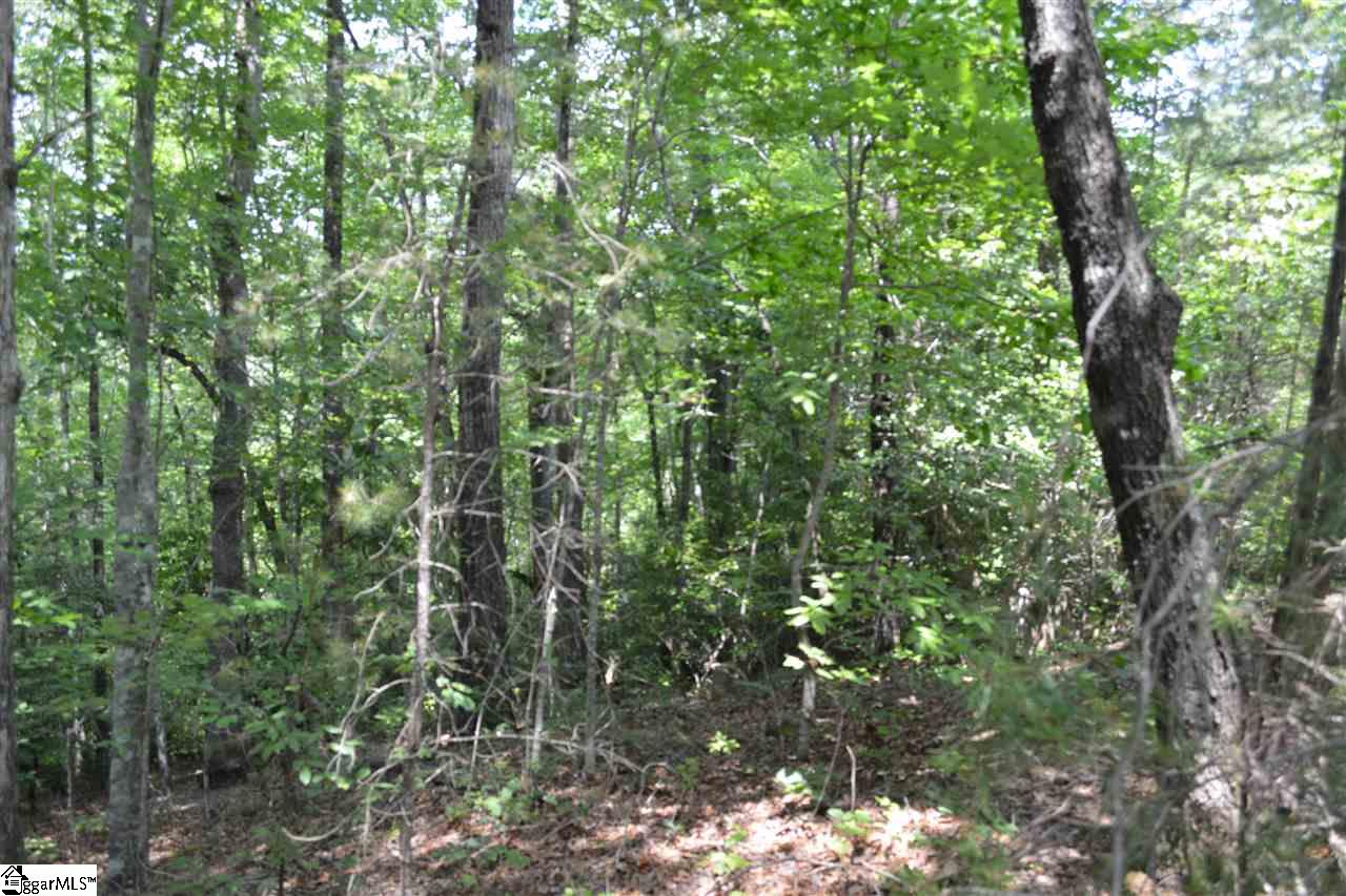 2 Table Rock Road, Unit LOT 29 Cleveland, SC 29635 - Photo 3 of 5