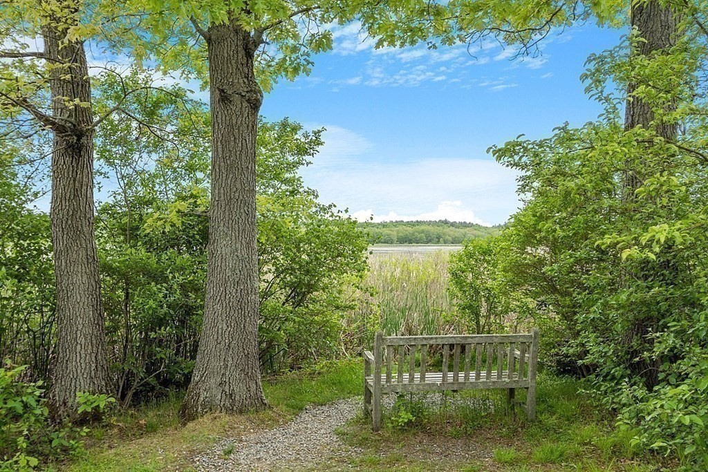 230 Monsen Road Concord, MA 01742 - Photo 8 of 11 a view of a garden