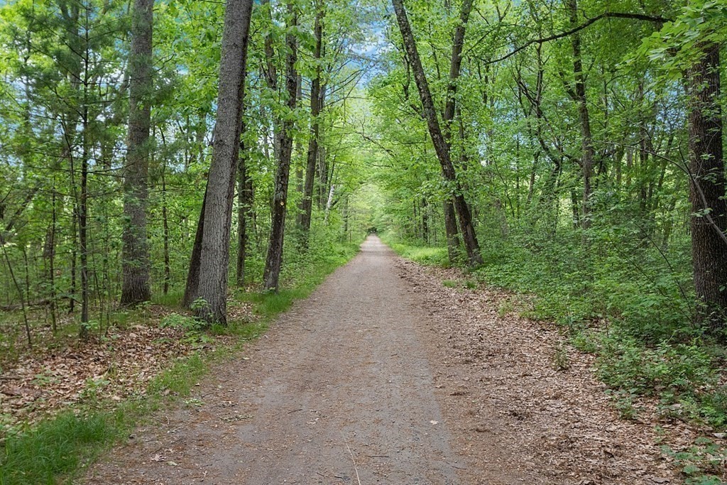 230 Monsen Road Concord, MA 01742 - Photo 10 of 11 a view of a forest with trees