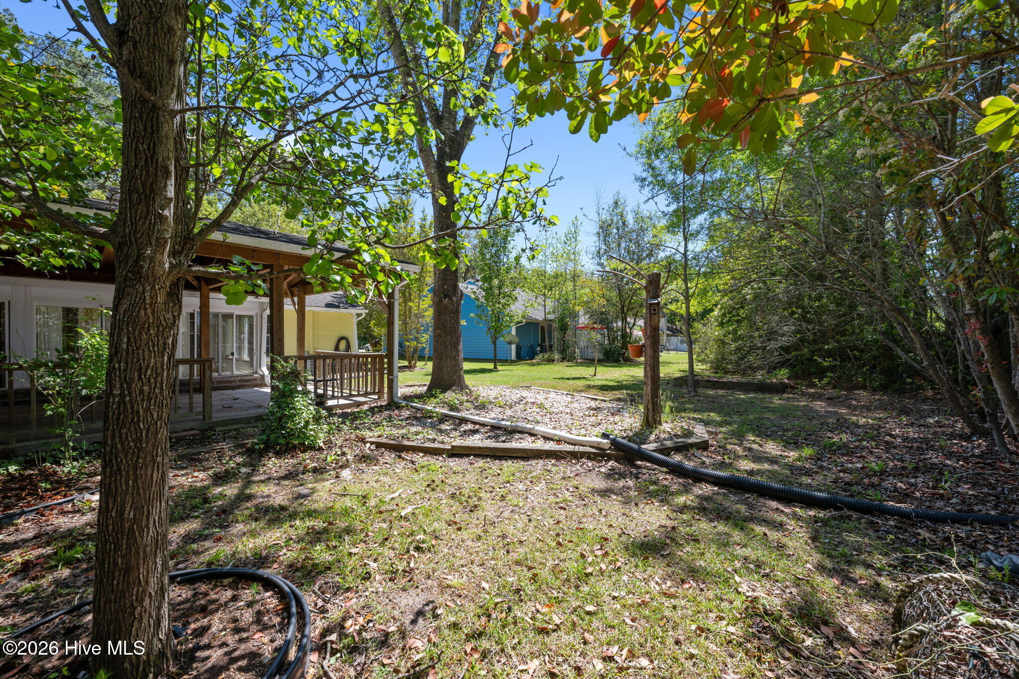 1117 Gilgo Road Oriental, NC 28571 - Photo 44 of 49 44-web-or-mls-DSC_9378