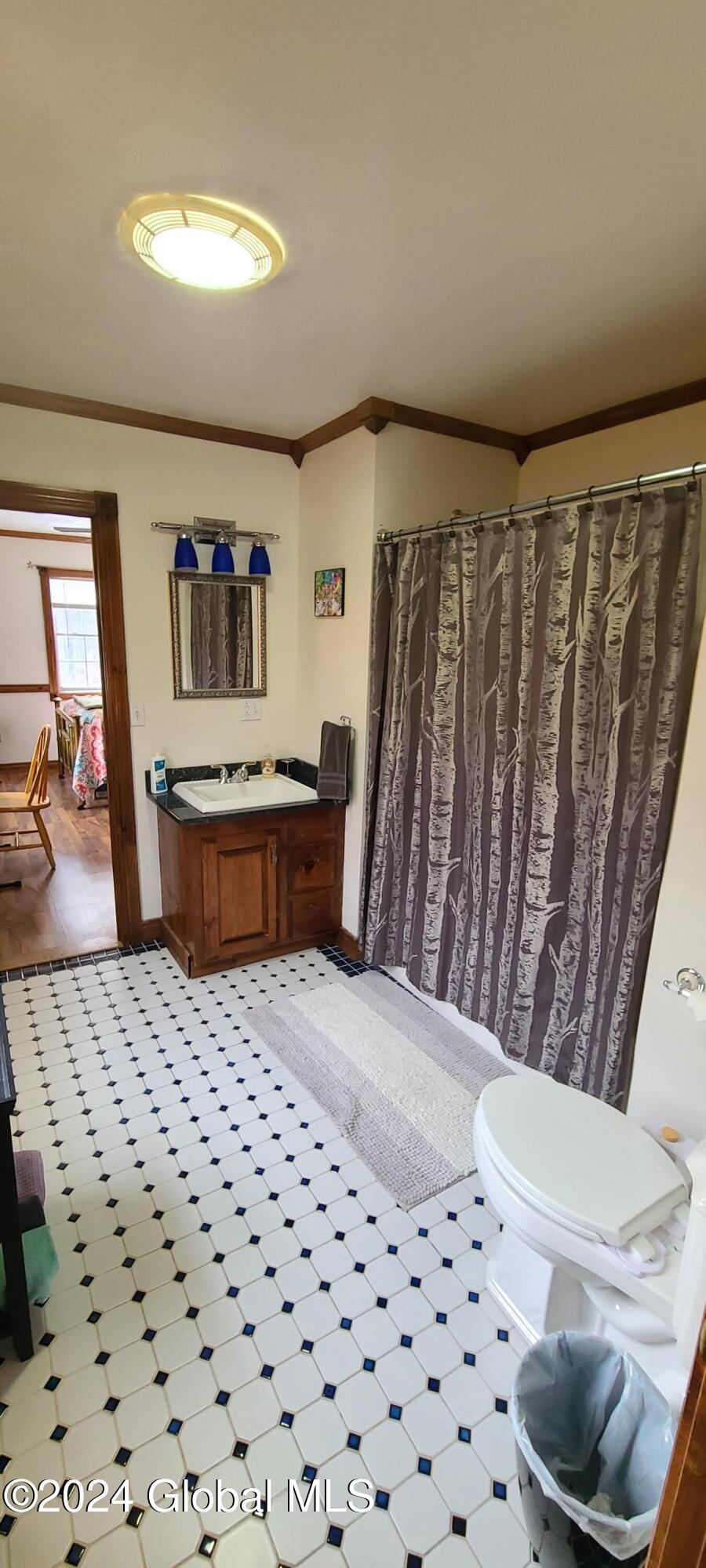 1074 Dry Bridge Road Black Brook, NY 12912 - Photo 25 of 26 Jack n Jill Bathroom