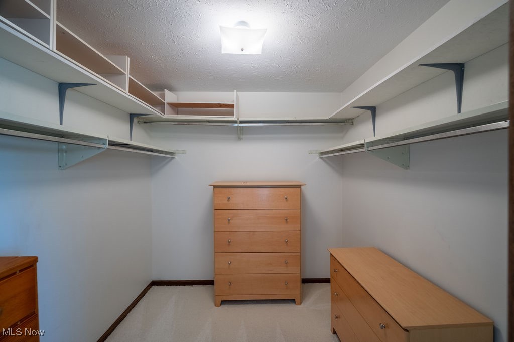 1252 New England Ridge Road Washington, WV 26181 - Photo 28 of 50 Walk in closet with light carpet