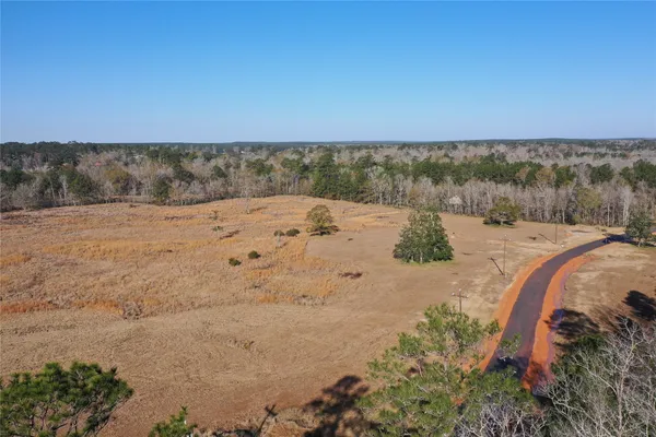 a view of a dry yard with wooden fence