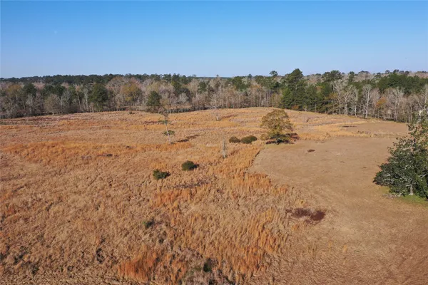 a view of a dry field with trees in the background