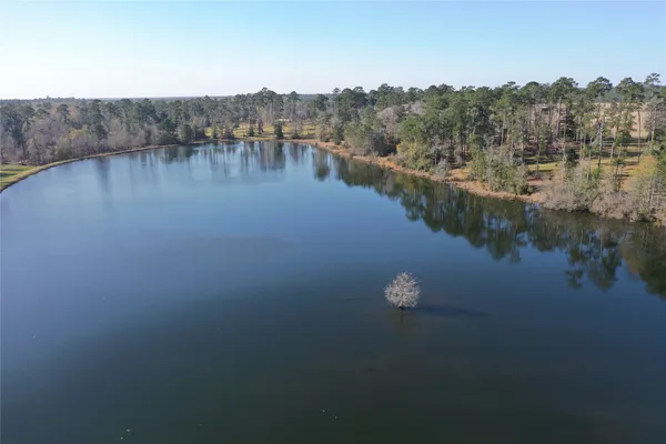 a view of river covered with trees