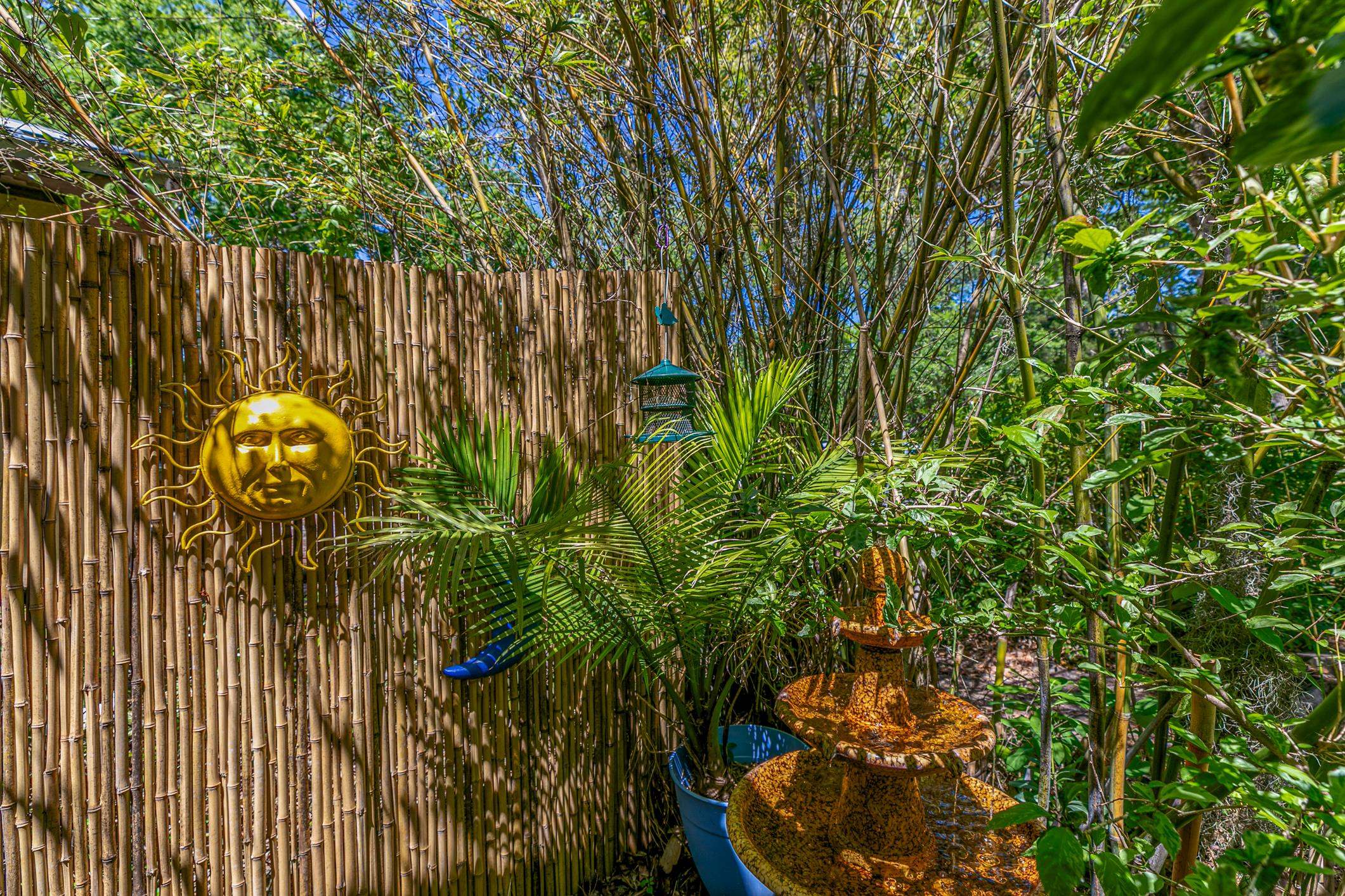 46 St Francis Street St. Augustine, FL 32084 - Photo 42 of 48